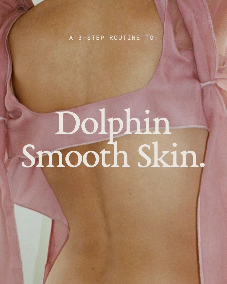 Dolphin Smooth Summer